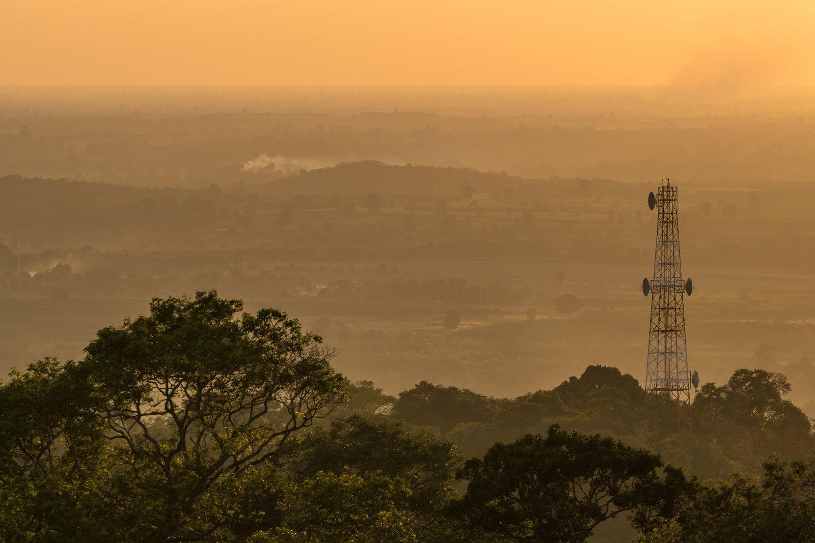 Trees in the background.