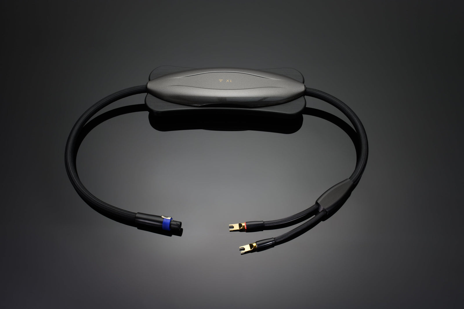 A black audio cable known as the Brick XL from Transparent Audio, featuring a central rectangular module, and two ends with connectors, set against a dark background.