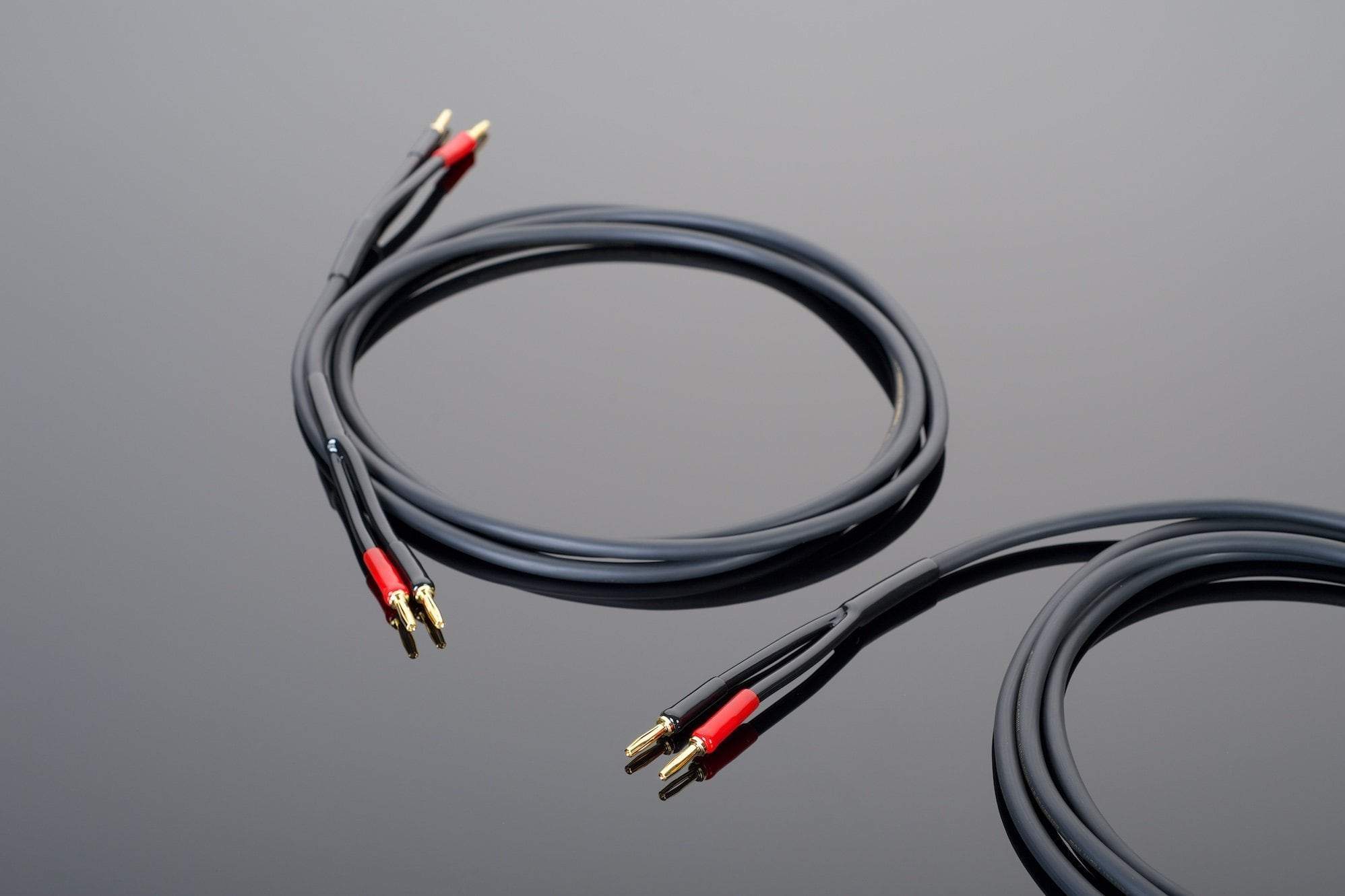 Two Transparent Audio Hardwired Speaker Cables with gold-plated connectors and red sleeves are coiled on a reflective surface, offering the perfect speaker cable solution.