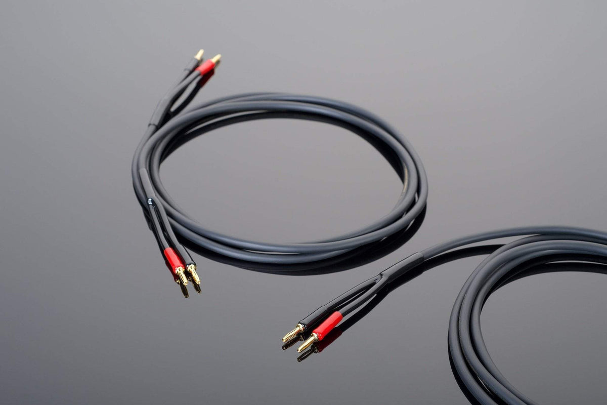 Two Transparent Audio Hardwired Speaker Cables with gold-plated connectors and red sleeves are coiled on a reflective surface, offering the perfect speaker cable solution.