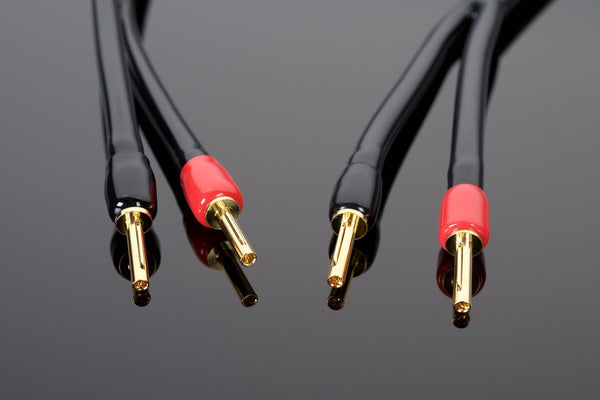 Wave Speaker Cable | Transparent Audio