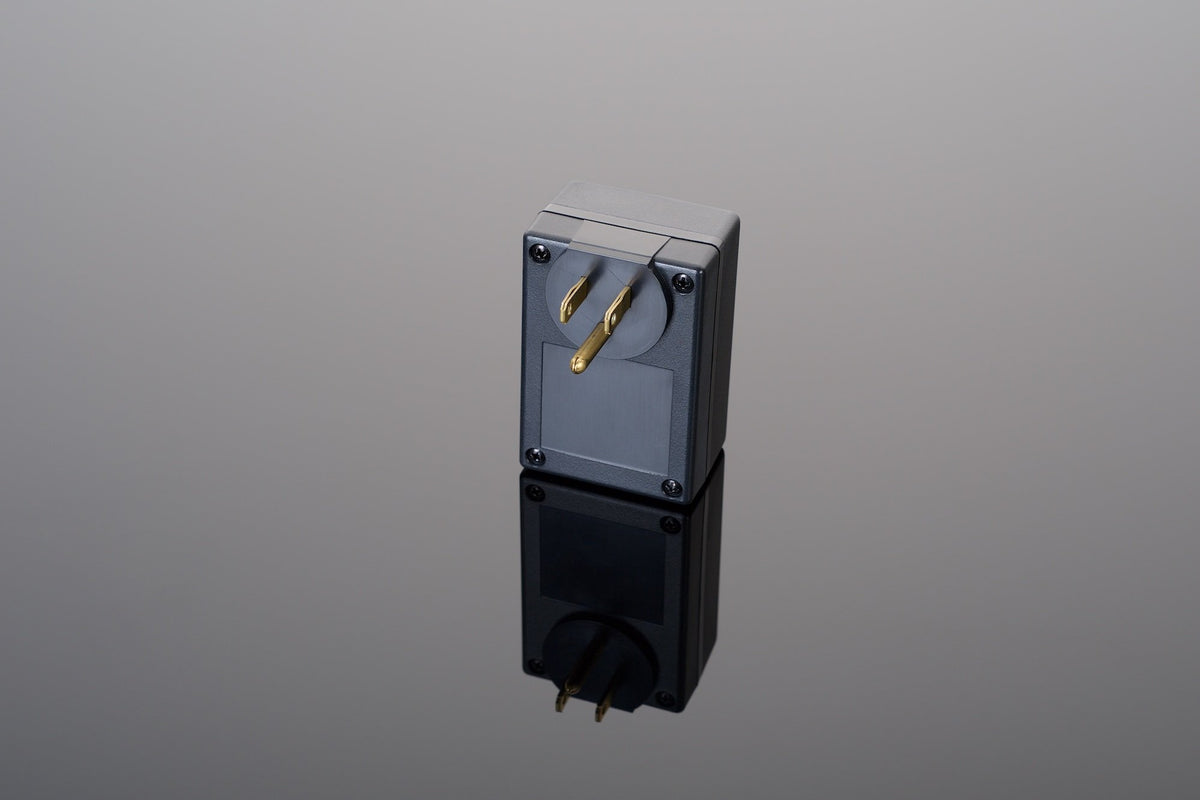 Plug-In Network Protector