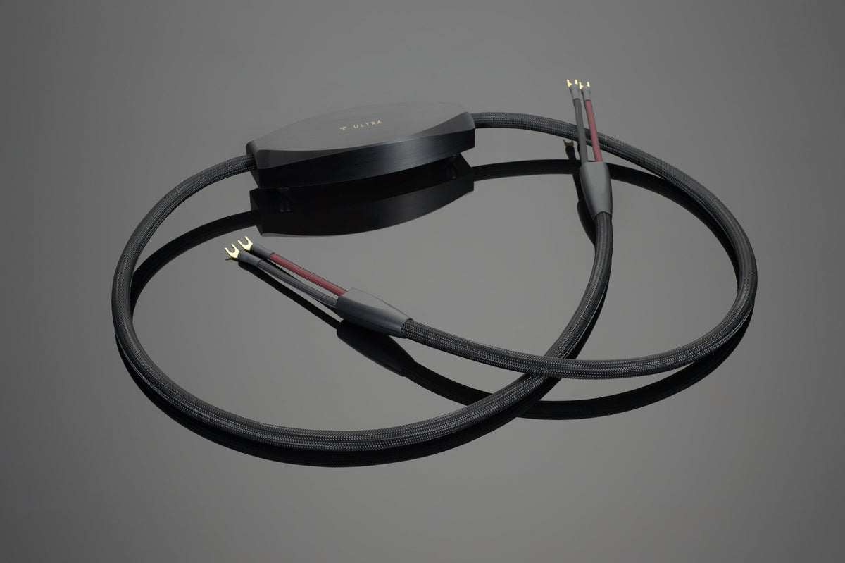 transparent-audio-ultra-ultra-speaker-ca